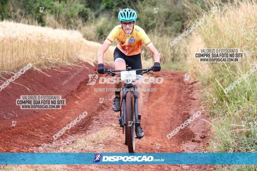 Circuito Regional de MTB - 3ª Etapa - Marialva