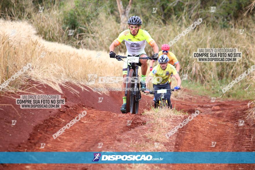 Circuito Regional de MTB - 3ª Etapa - Marialva