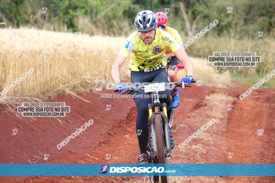 Circuito Regional de MTB - 3ª Etapa - Marialva