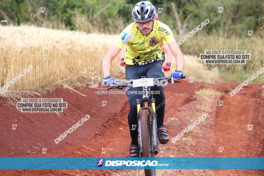 Circuito Regional de MTB - 3ª Etapa - Marialva