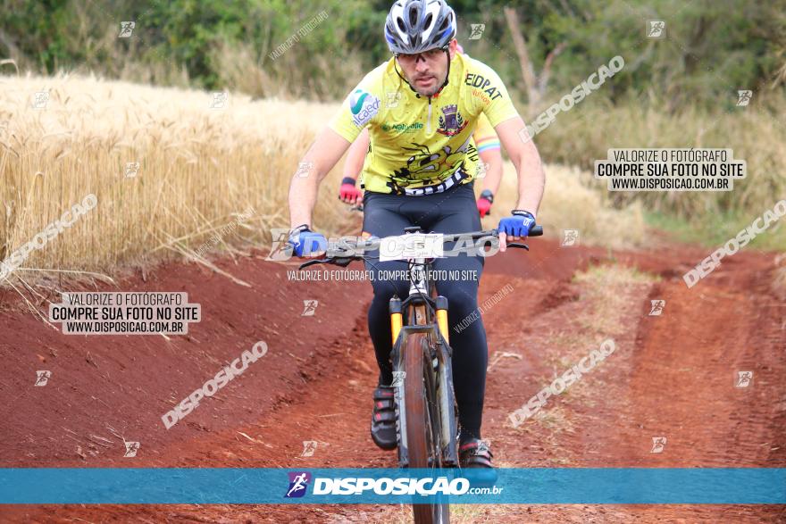 Circuito Regional de MTB - 3ª Etapa - Marialva