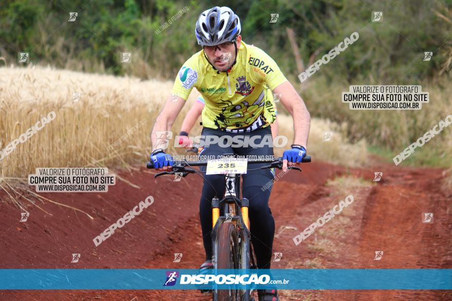 Circuito Regional de MTB - 3ª Etapa - Marialva