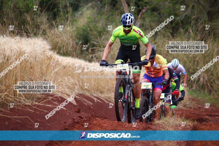 Circuito Regional de MTB - 3ª Etapa - Marialva