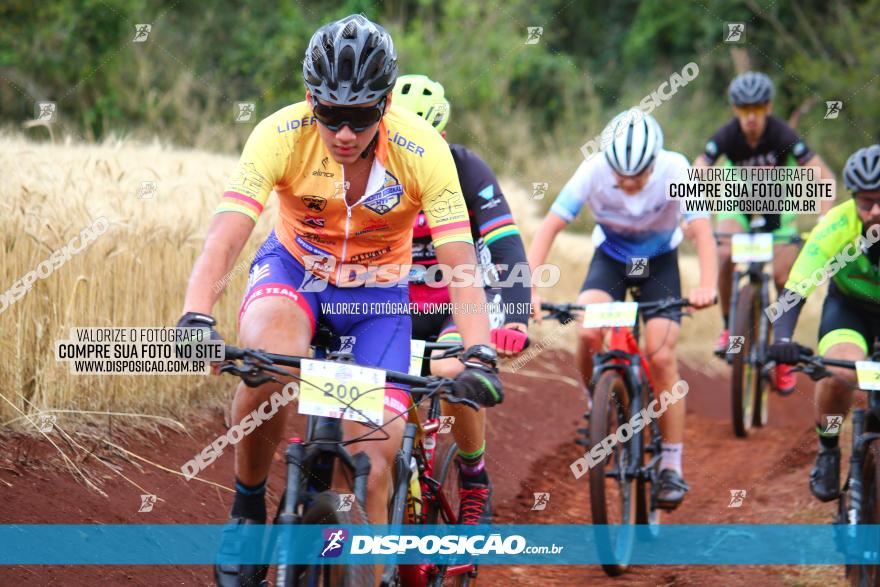 Circuito Regional de MTB - 3ª Etapa - Marialva