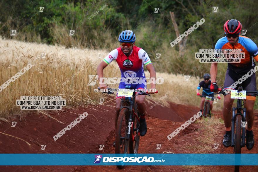 Circuito Regional de MTB - 3ª Etapa - Marialva