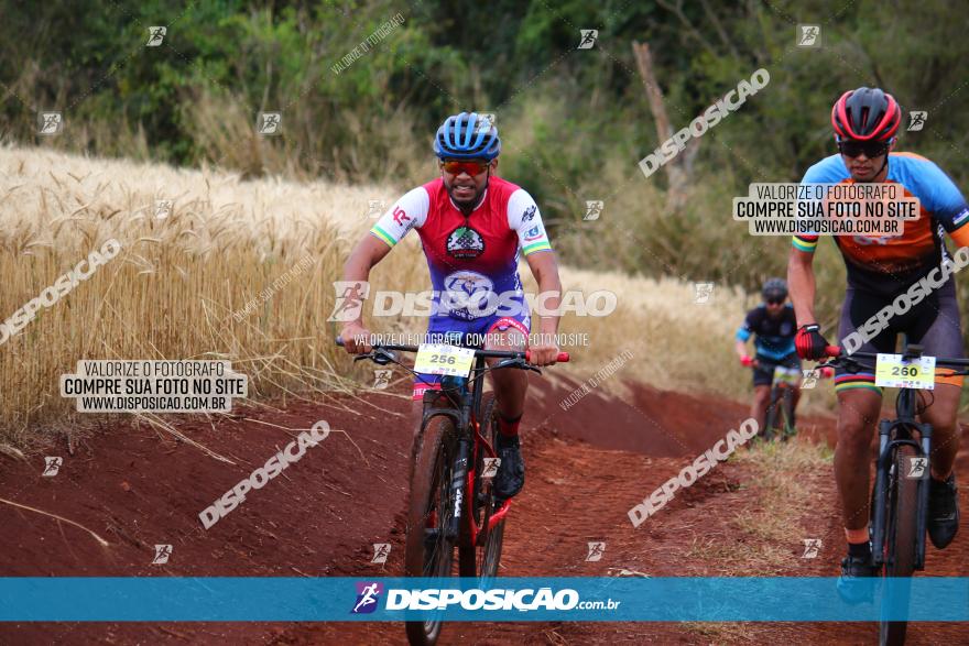 Circuito Regional de MTB - 3ª Etapa - Marialva