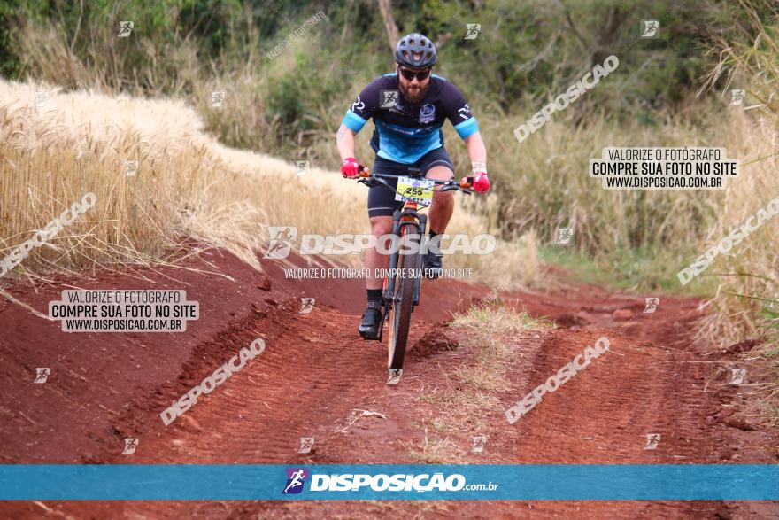 Circuito Regional de MTB - 3ª Etapa - Marialva