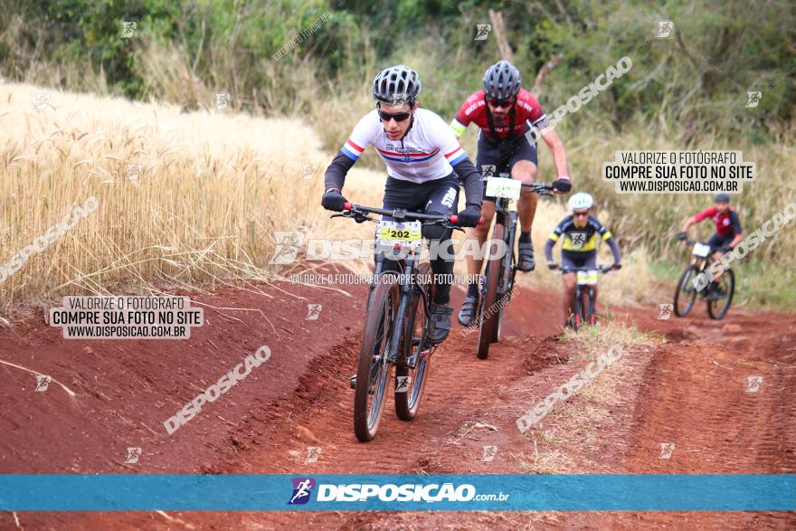 Circuito Regional de MTB - 3ª Etapa - Marialva