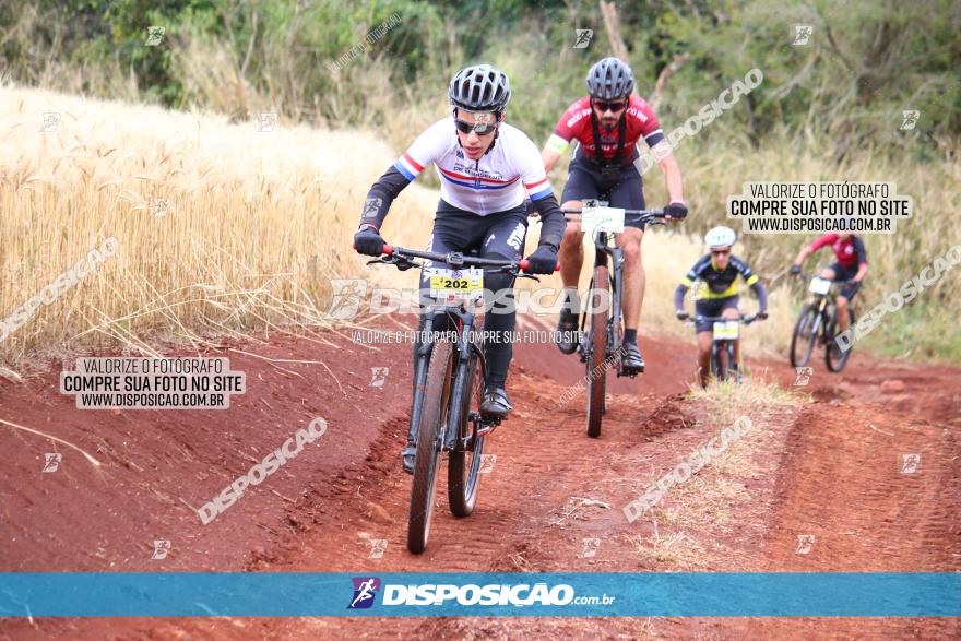 Circuito Regional de MTB - 3ª Etapa - Marialva