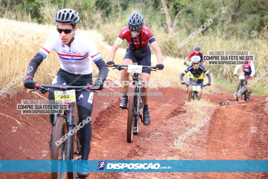 Circuito Regional de MTB - 3ª Etapa - Marialva