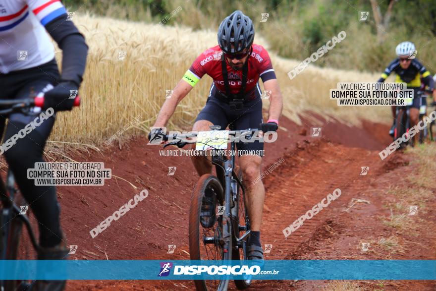 Circuito Regional de MTB - 3ª Etapa - Marialva