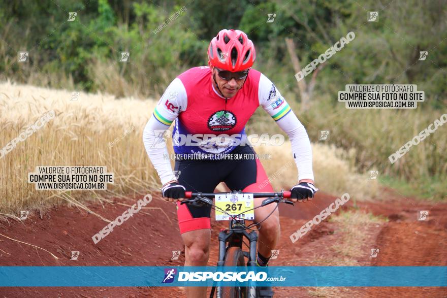 Circuito Regional de MTB - 3ª Etapa - Marialva