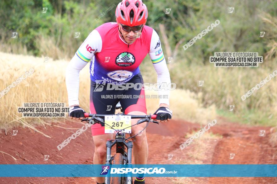 Circuito Regional de MTB - 3ª Etapa - Marialva