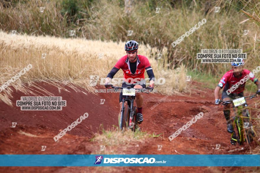 Circuito Regional de MTB - 3ª Etapa - Marialva