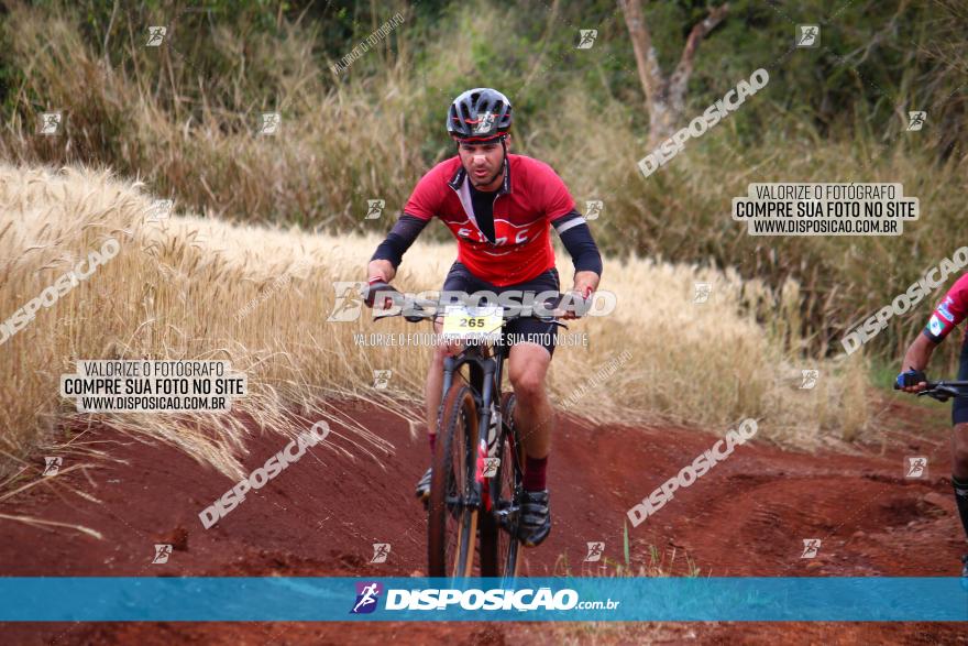 Circuito Regional de MTB - 3ª Etapa - Marialva