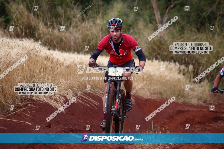 Circuito Regional de MTB - 3ª Etapa - Marialva