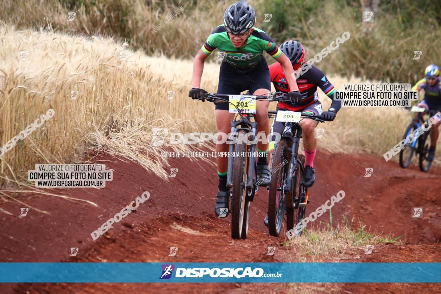 Circuito Regional de MTB - 3ª Etapa - Marialva