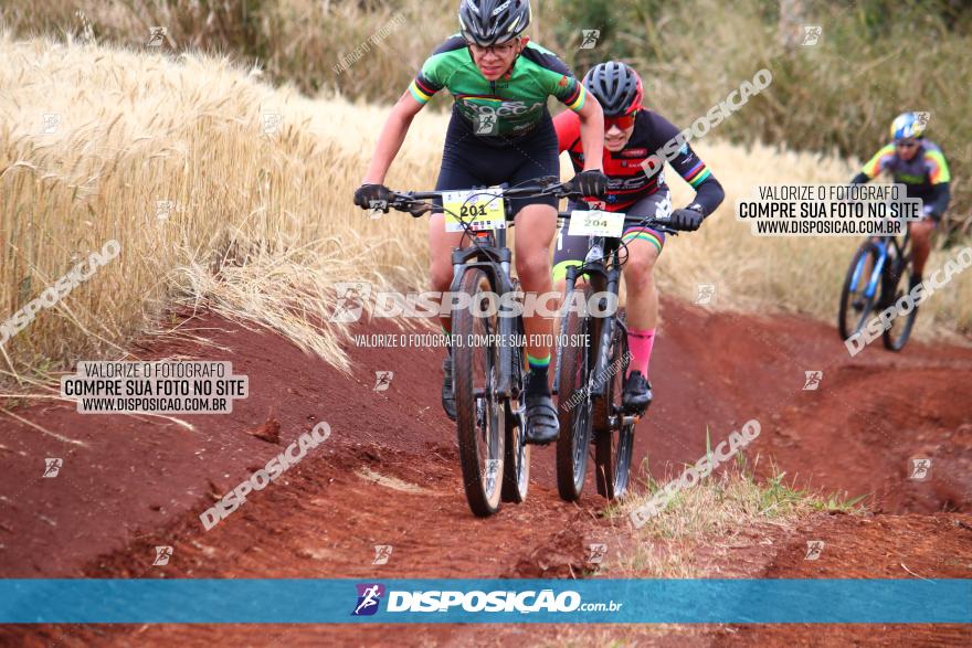 Circuito Regional de MTB - 3ª Etapa - Marialva