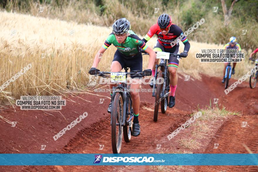 Circuito Regional de MTB - 3ª Etapa - Marialva