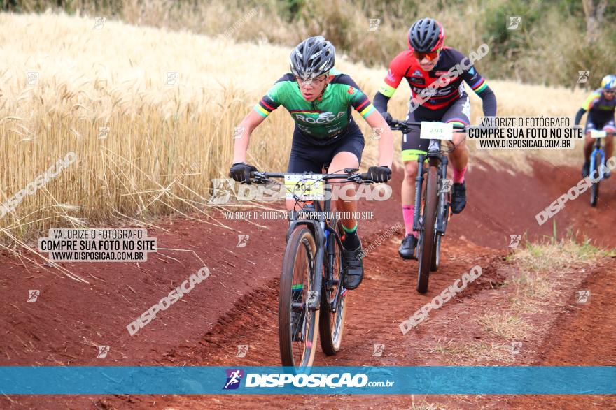 Circuito Regional de MTB - 3ª Etapa - Marialva