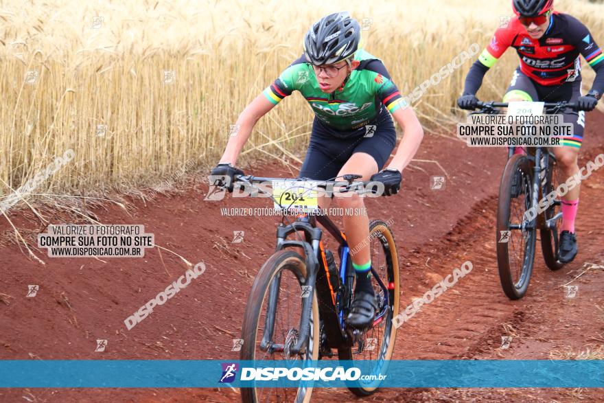 Circuito Regional de MTB - 3ª Etapa - Marialva