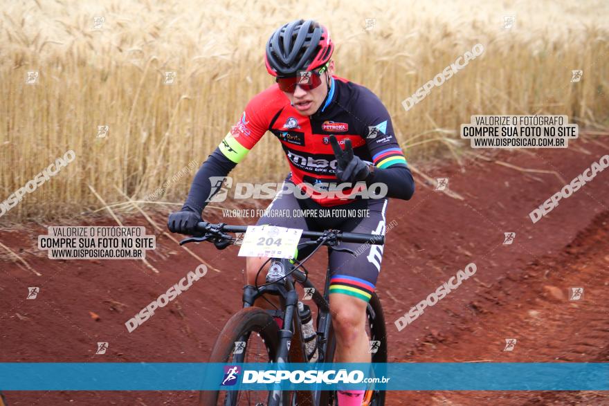 Circuito Regional de MTB - 3ª Etapa - Marialva