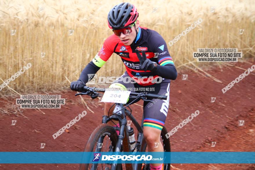 Circuito Regional de MTB - 3ª Etapa - Marialva