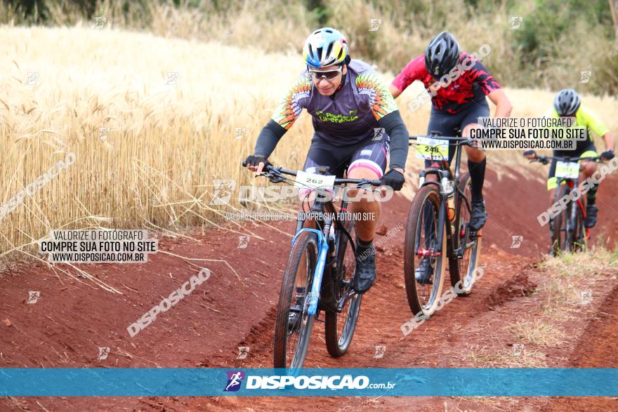 Circuito Regional de MTB - 3ª Etapa - Marialva