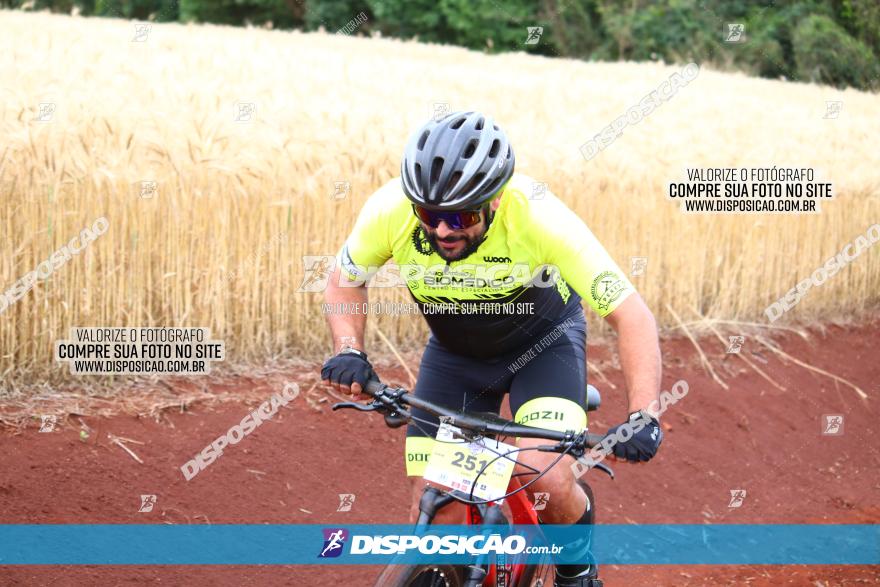 Circuito Regional de MTB - 3ª Etapa - Marialva