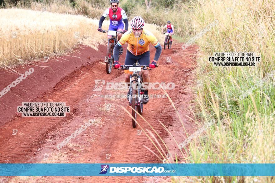 Circuito Regional de MTB - 3ª Etapa - Marialva