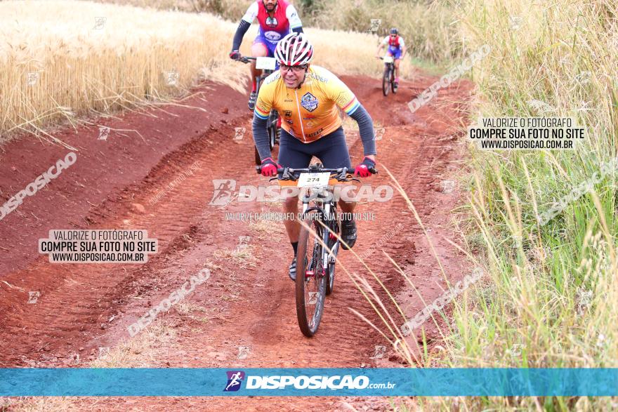 Circuito Regional de MTB - 3ª Etapa - Marialva