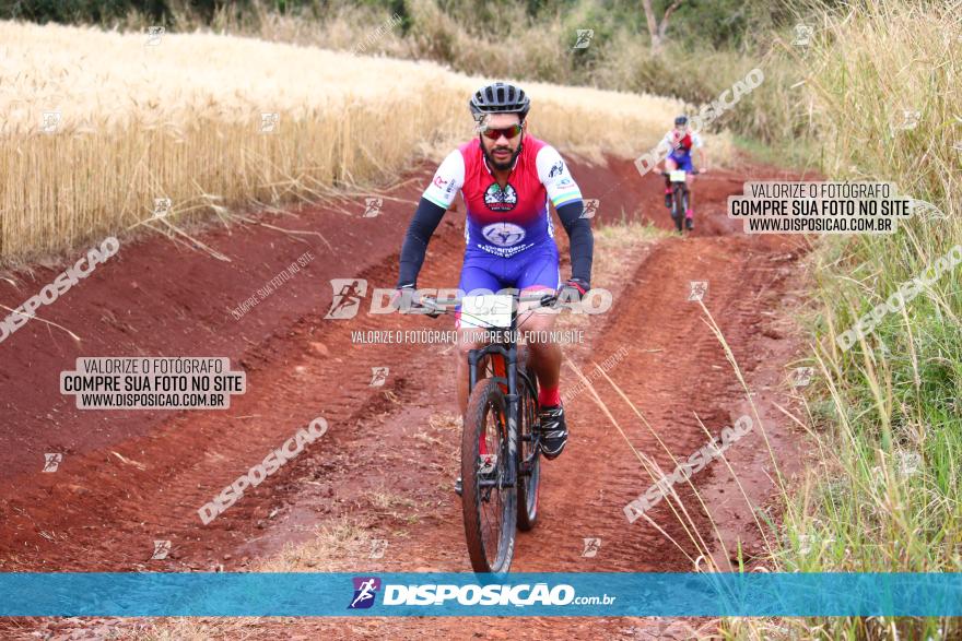 Circuito Regional de MTB - 3ª Etapa - Marialva