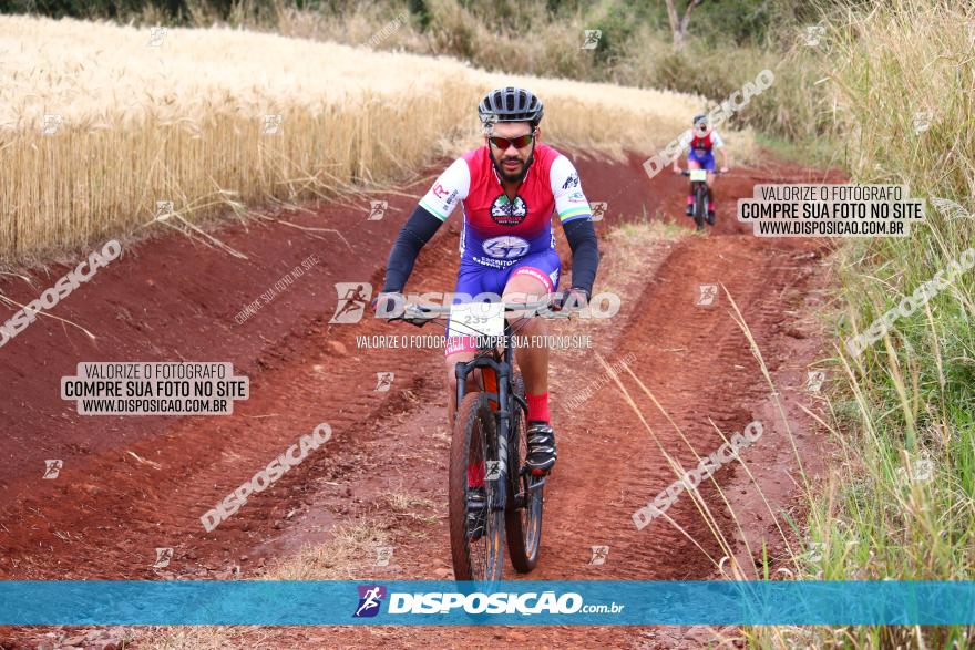 Circuito Regional de MTB - 3ª Etapa - Marialva