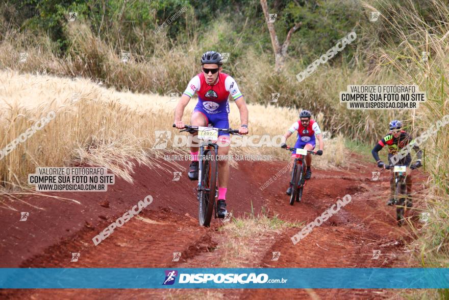 Circuito Regional de MTB - 3ª Etapa - Marialva