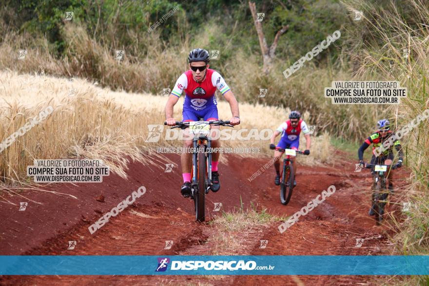 Circuito Regional de MTB - 3ª Etapa - Marialva