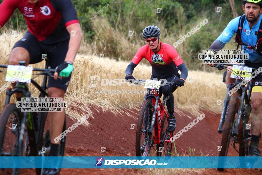 Circuito Regional de MTB - 3ª Etapa - Marialva