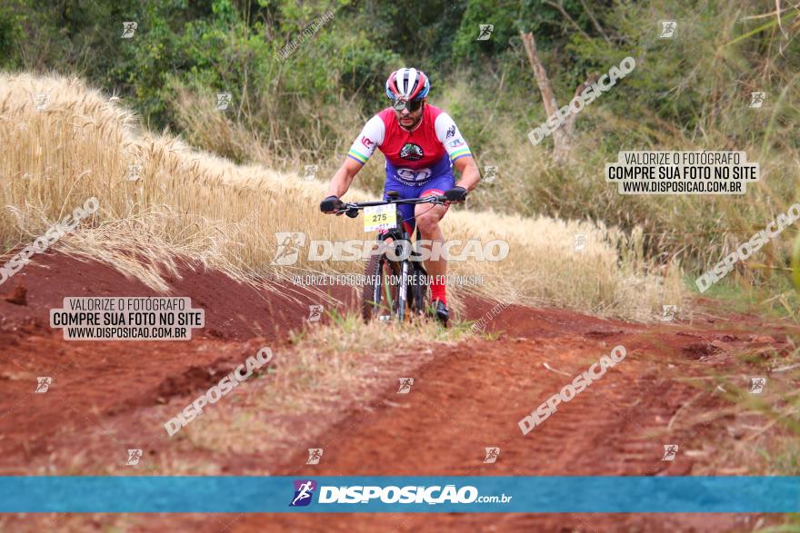 Circuito Regional de MTB - 3ª Etapa - Marialva