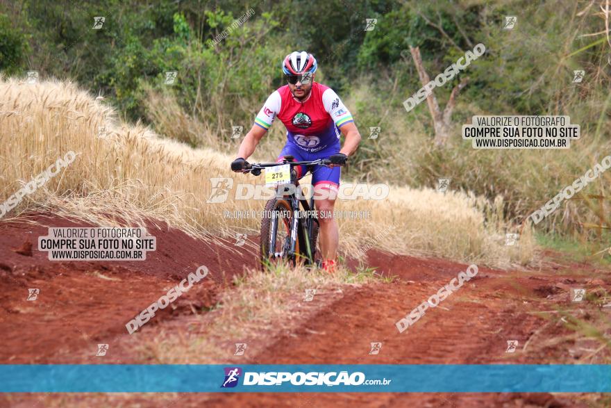 Circuito Regional de MTB - 3ª Etapa - Marialva