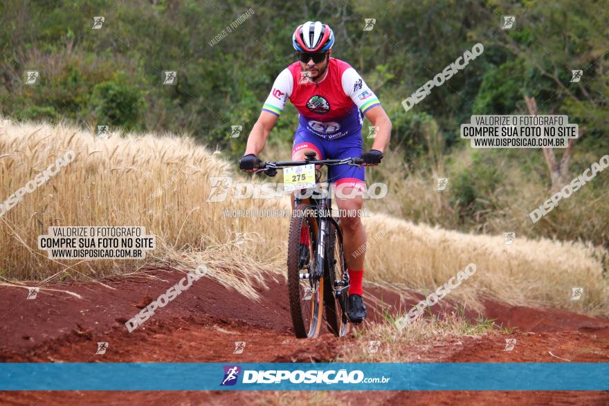 Circuito Regional de MTB - 3ª Etapa - Marialva