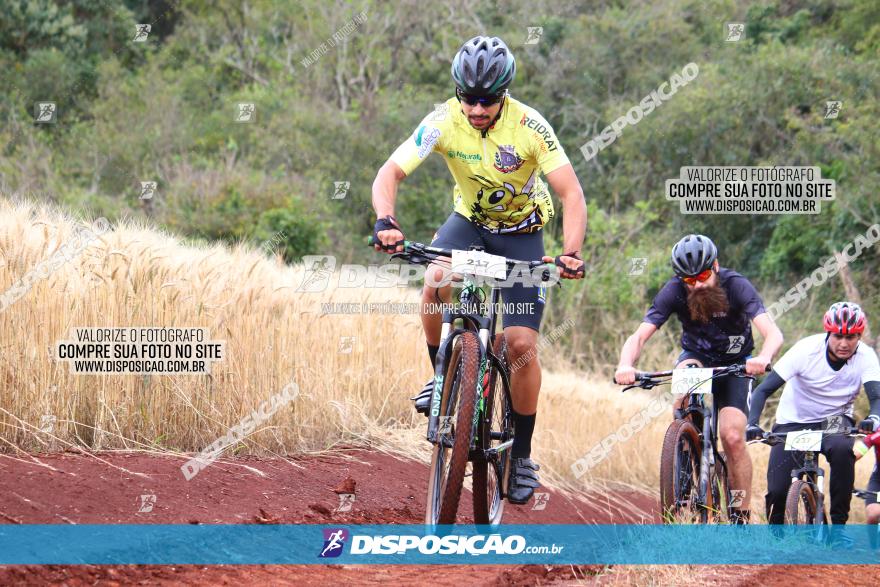 Circuito Regional de MTB - 3ª Etapa - Marialva