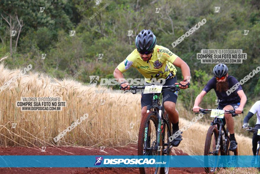 Circuito Regional de MTB - 3ª Etapa - Marialva