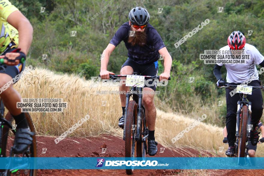 Circuito Regional de MTB - 3ª Etapa - Marialva