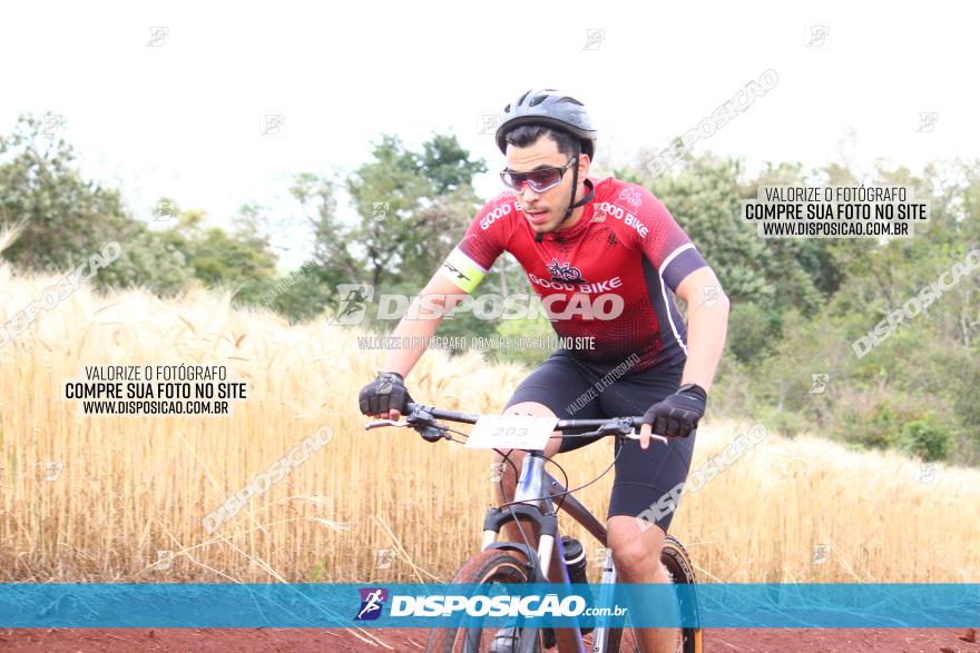 Circuito Regional de MTB - 3ª Etapa - Marialva