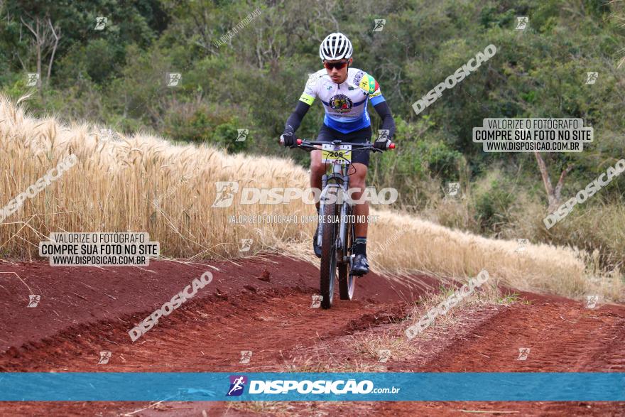 Circuito Regional de MTB - 3ª Etapa - Marialva