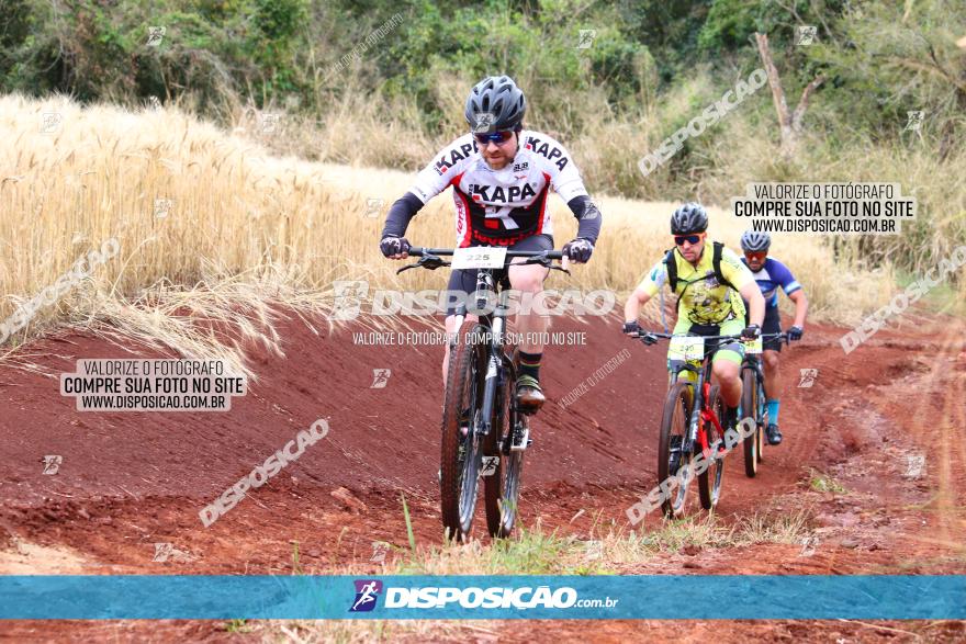 Circuito Regional de MTB - 3ª Etapa - Marialva