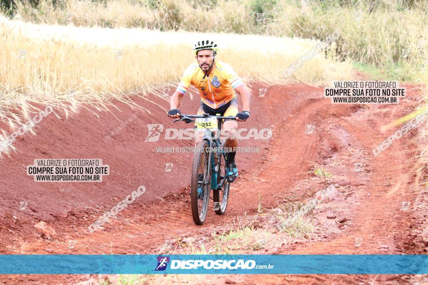 Circuito Regional de MTB - 3ª Etapa - Marialva