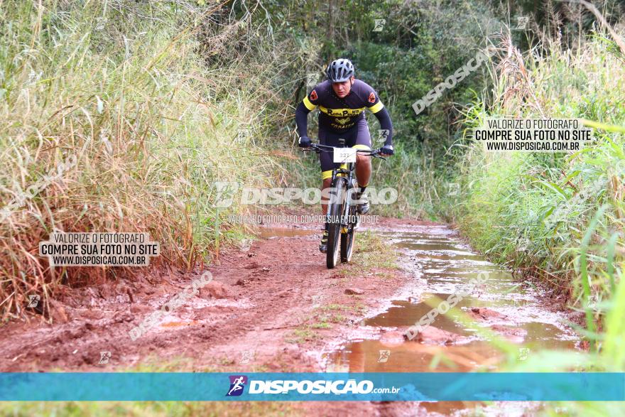 Circuito Regional de MTB - 3ª Etapa - Marialva