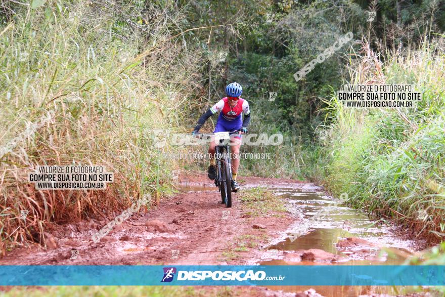 Circuito Regional de MTB - 3ª Etapa - Marialva