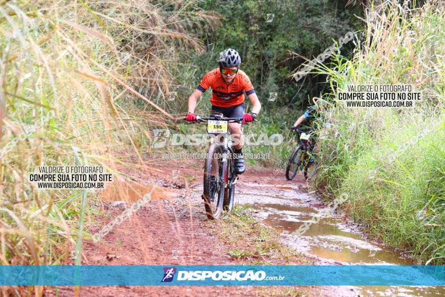 Circuito Regional de MTB - 3ª Etapa - Marialva