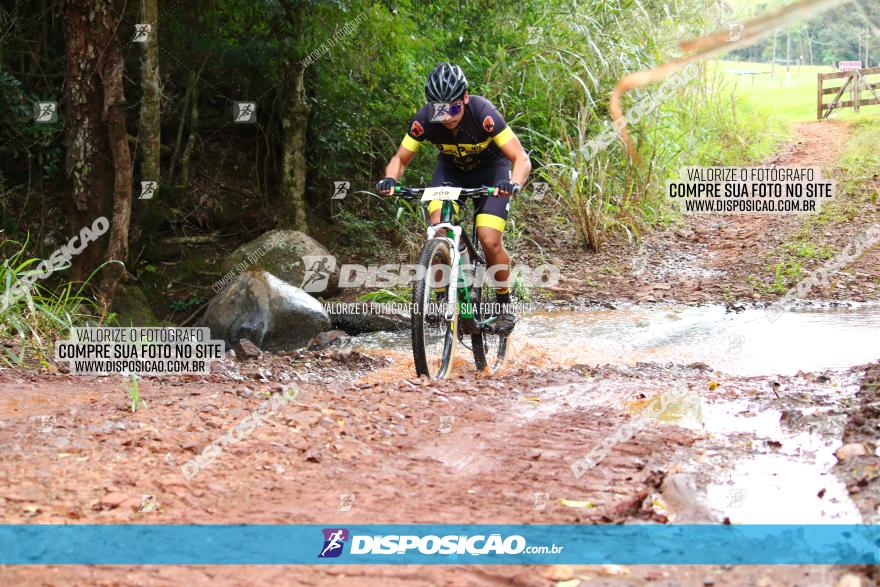 Circuito Regional de MTB - 3ª Etapa - Marialva